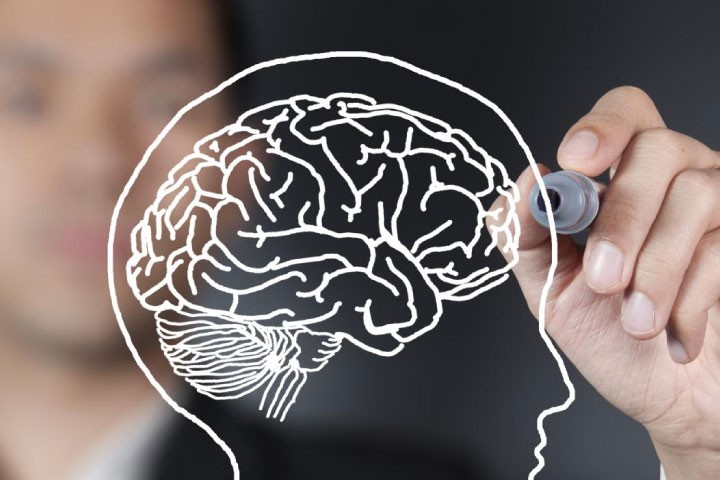 Introducción al Neuroliderazgo