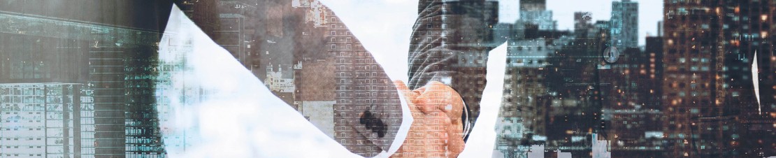 Habilidades Directivas y de Negociación