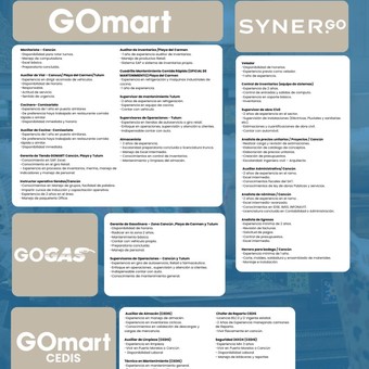 synergo