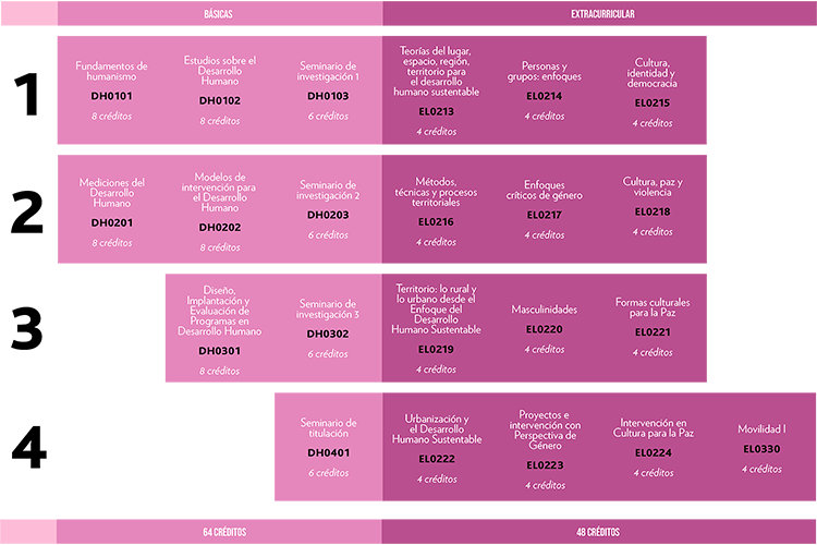 Mapa curricular MEIDH